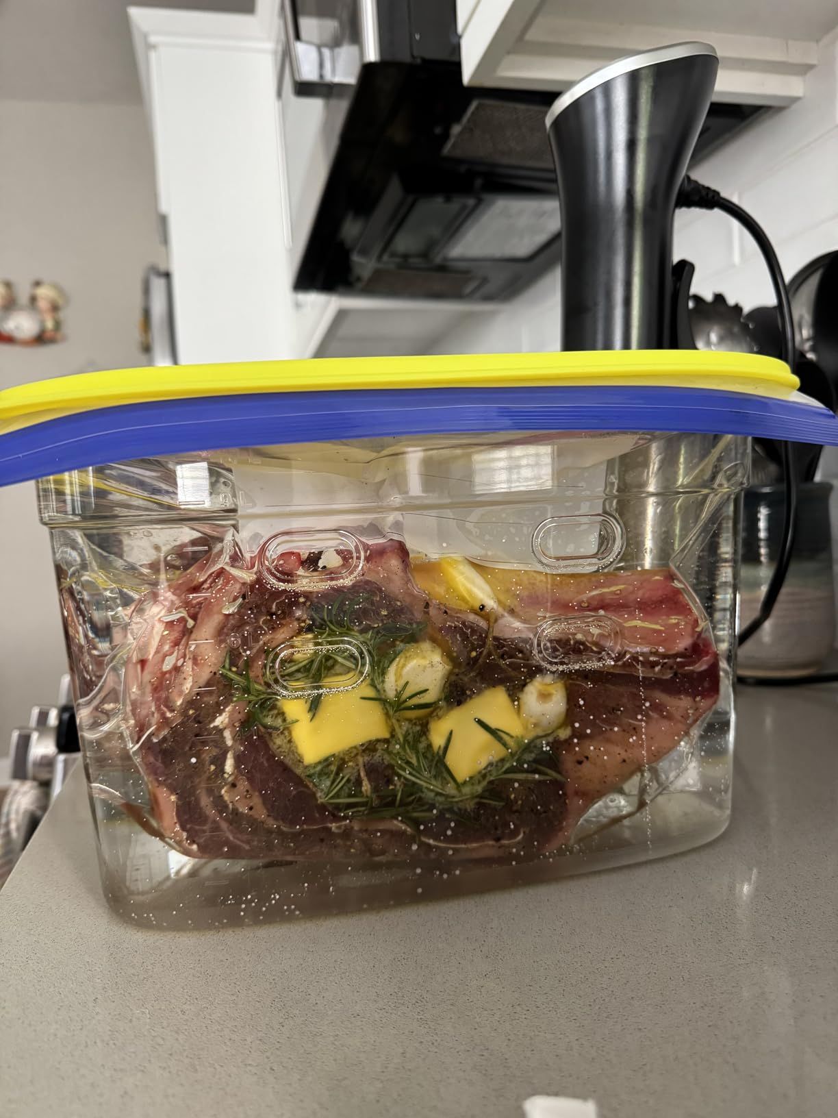 Wancle Sous Vide Cooker 1100W IPX7 Waterproof Thermal Immersion Circulator With Reservation Function, Easy to store customer photo 1