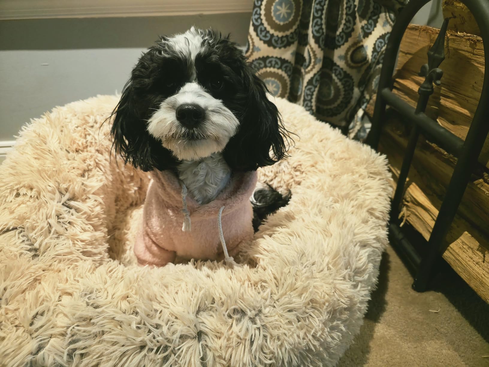 FurHaven 30