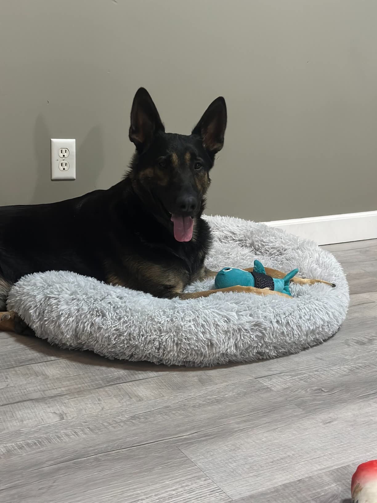 Active Pets Calming Plush Dog Bed Donut Joint Support Anxiety Relief Washable Pet Bed with Removable Cover for Dogs Cats, Large 36