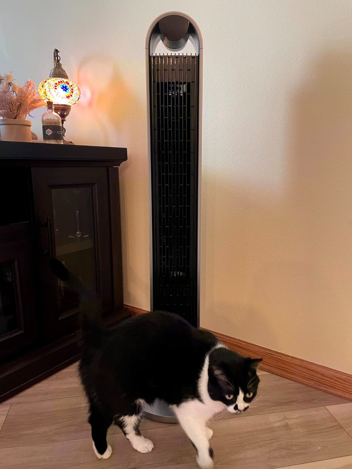 DREO Tower Fan for Bedroom, 42 Inch 120° Oscillating Fan, 20dB Quiet DC Motor, 28ft/s Velocity Bladeless Standing Fan with 12 Speeds, 4 Modes, 12H Timer Cooling Fans for Home, Living Room customer photo 2