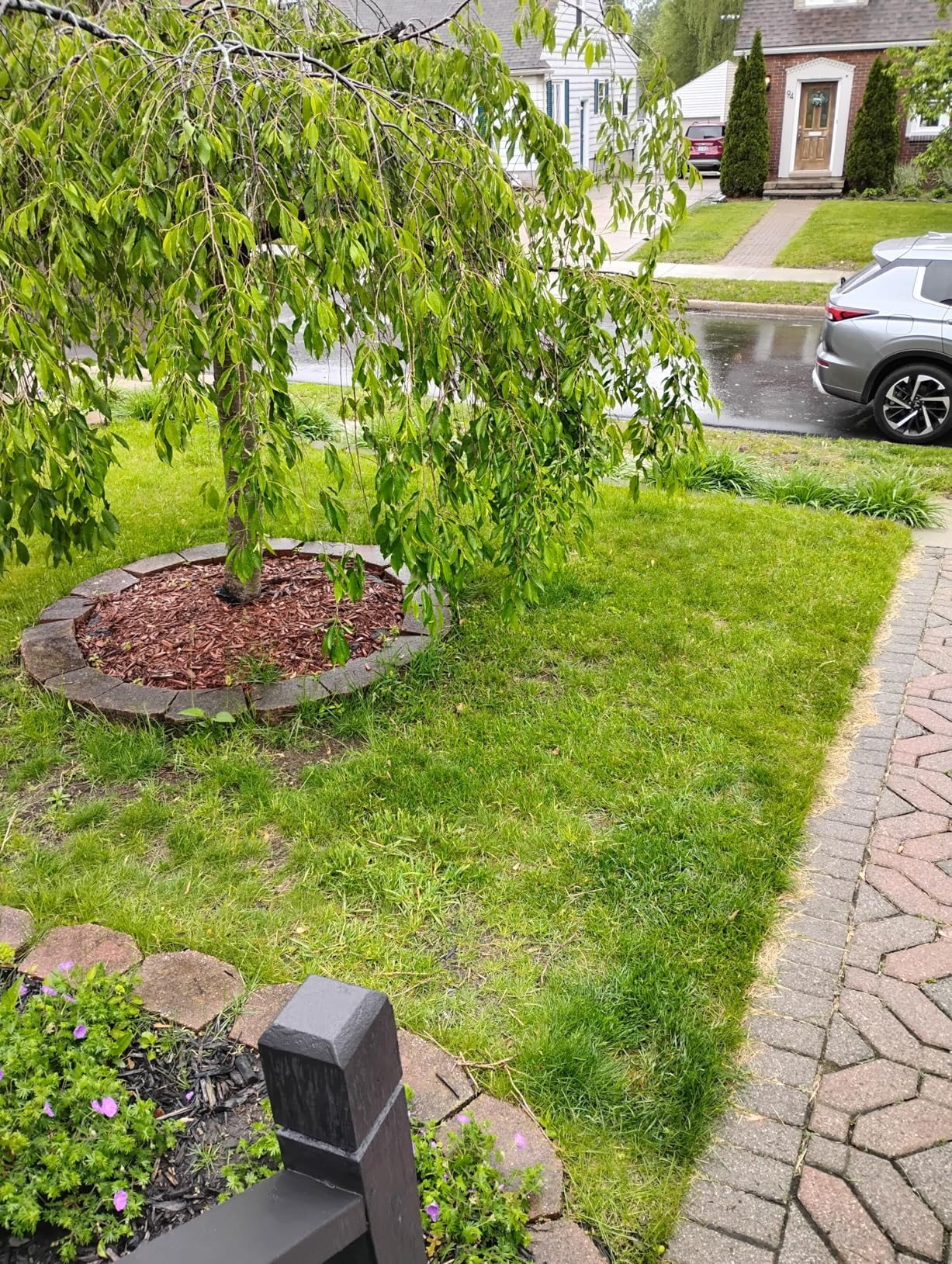 LawnMaster CLM2413A Cordless 13-Inch Lawn Mower 24V Max with 2X4.0Ah Battery and a Charger customer photo 2
