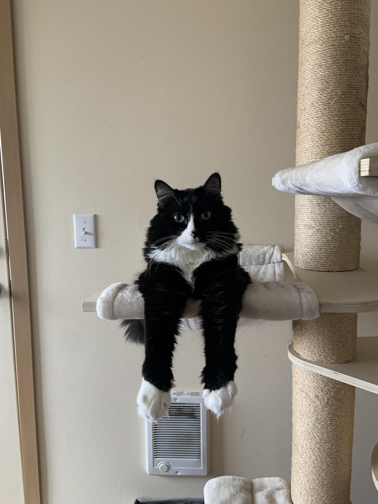 Tangkula Modern Cat Tree, Multi-Level Large Cat Tower with Condo, Hammocks & Hanging Basket, Tall Cat Tree with Sisal Posts, Washable Cushions, Wood Cat Trees and Towers for Indoor Large Cats customer photo 1