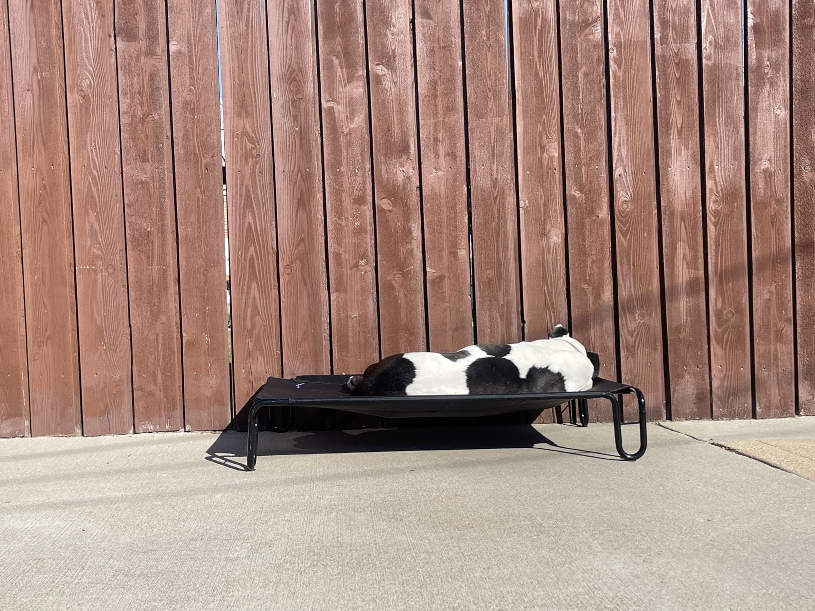 pettycare Outdoor Elevated Dog Bed Cot, Raised Dog Cots Beds, No Screws, Stable Frame & Durable Supportive Teslin Recyclable Mesh, Breathable, Indoor and Outside Pet Beds, Fits up to 40 lbs customer photo 1