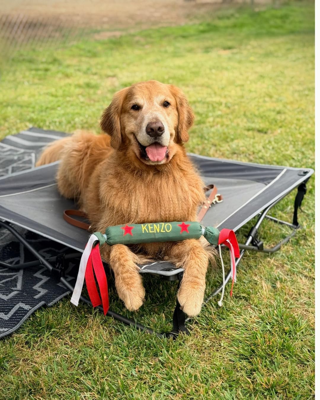 TIMBER RIDGE Outdoor Dog Bed, Cooling Elevated Pet Bed Portable Raised Dog Bed with Breathable Mesh, Dog Bed Foldable Dog Cot for Indoor & Outside, Grey customer photo 1