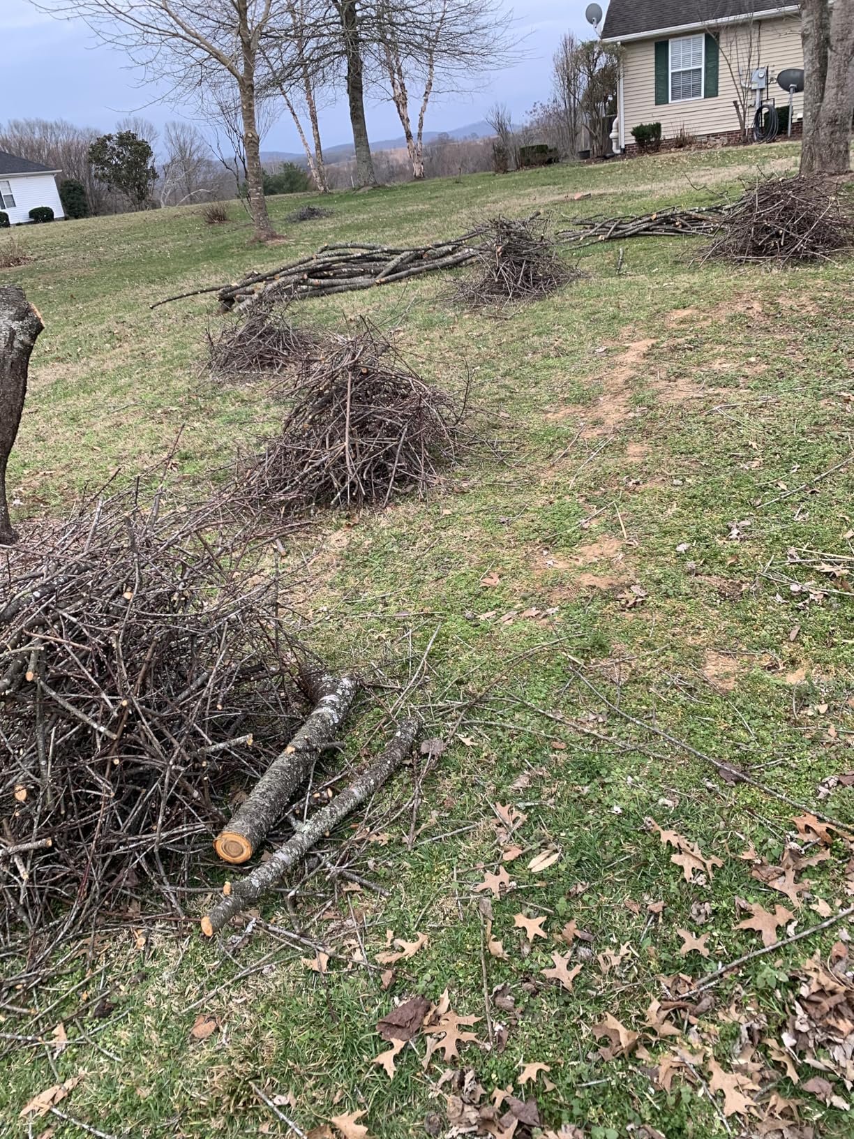 Worx 20V Worx NITRO Pruning Shear/Lopper WG330 - (Battery & Charger Included) customer photo 2