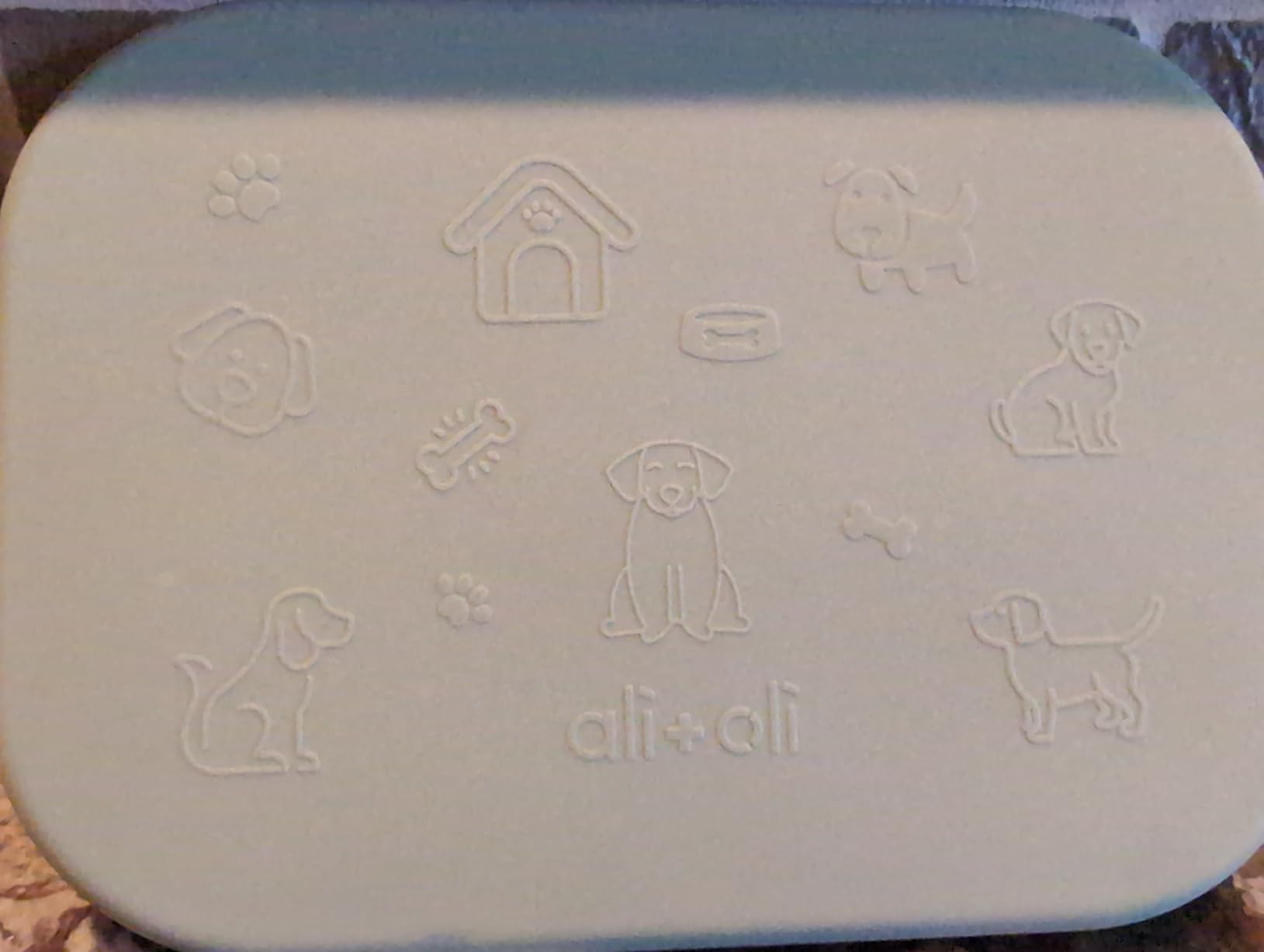 Ali+Oli Silicone Bento Box (Pine) Lunch Box for Kids, Toddlers, Preschoolers & Adults | BPA-Free and Spill-Proof | Ideal for School, and On-the-Go Meals| Perfect for Lunch, Snacks, and Meals customer photo 2