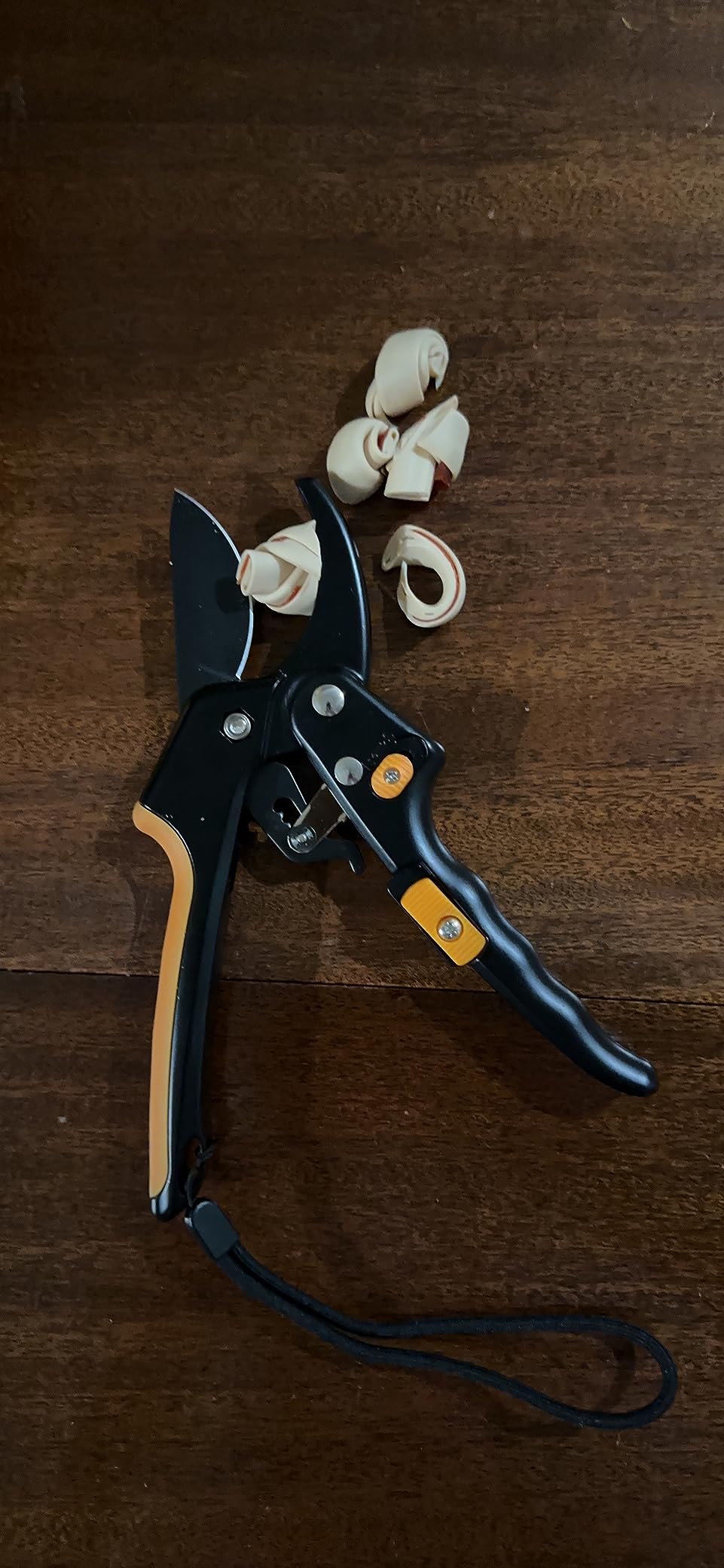 Ratchet Pruning Shears for Gardening Heavy Duty - Increases Cutting Power 3x - Perfect Ratchet Pruners for Weak Hands & Arthritis- 8in Anvil Garden Clippers - w/Extra Sharp Blade for Effortless Cutting customer photo 1