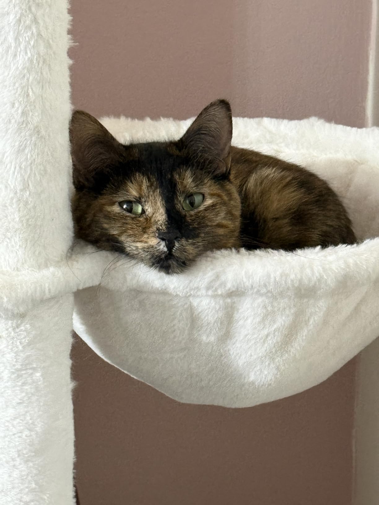 Hey-brother Wooden Cat Tree, 66.1