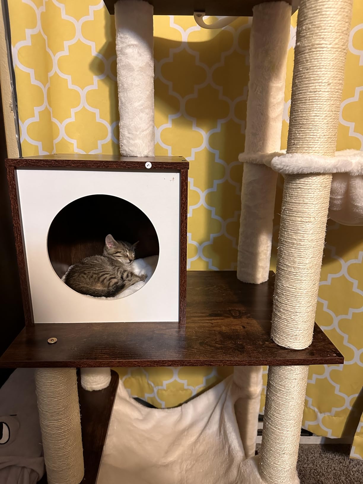 Hey-brother Wooden Cat Tree, 66.1