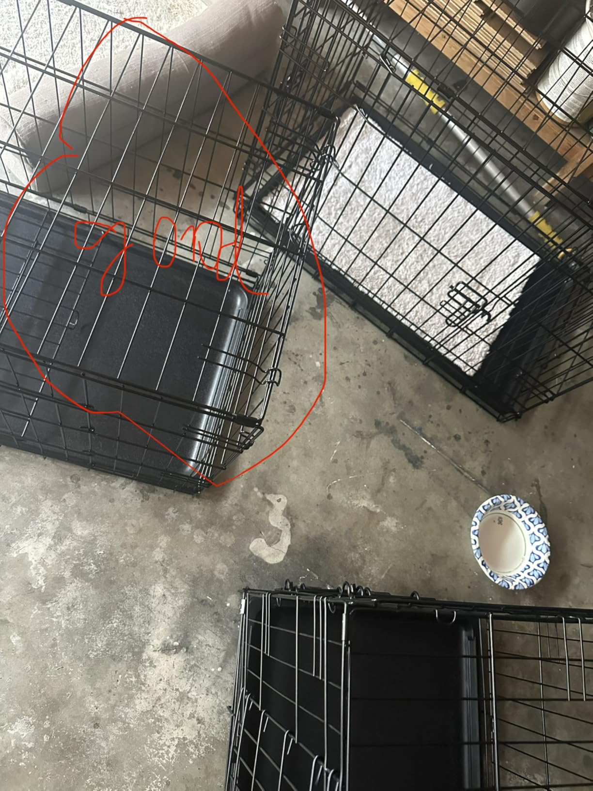 FDW Dog Crate for Large Dogs 42 Inch Folding Metal Wire Pet Cage Double Door W/Divider Panel Indoor Outdoor Kennel Leak-Proof Plastic Tray, Black customer photo 1