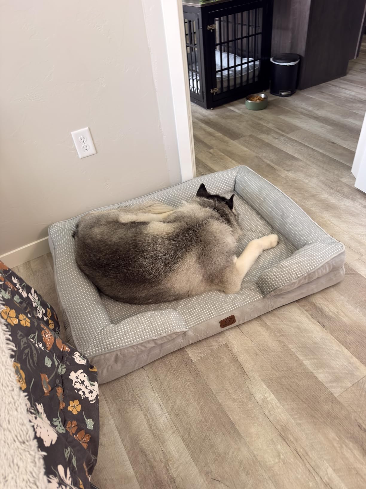 Bedsure Orthopedic XL Dog Bed Extra Large Washable Original Design customer photo 1