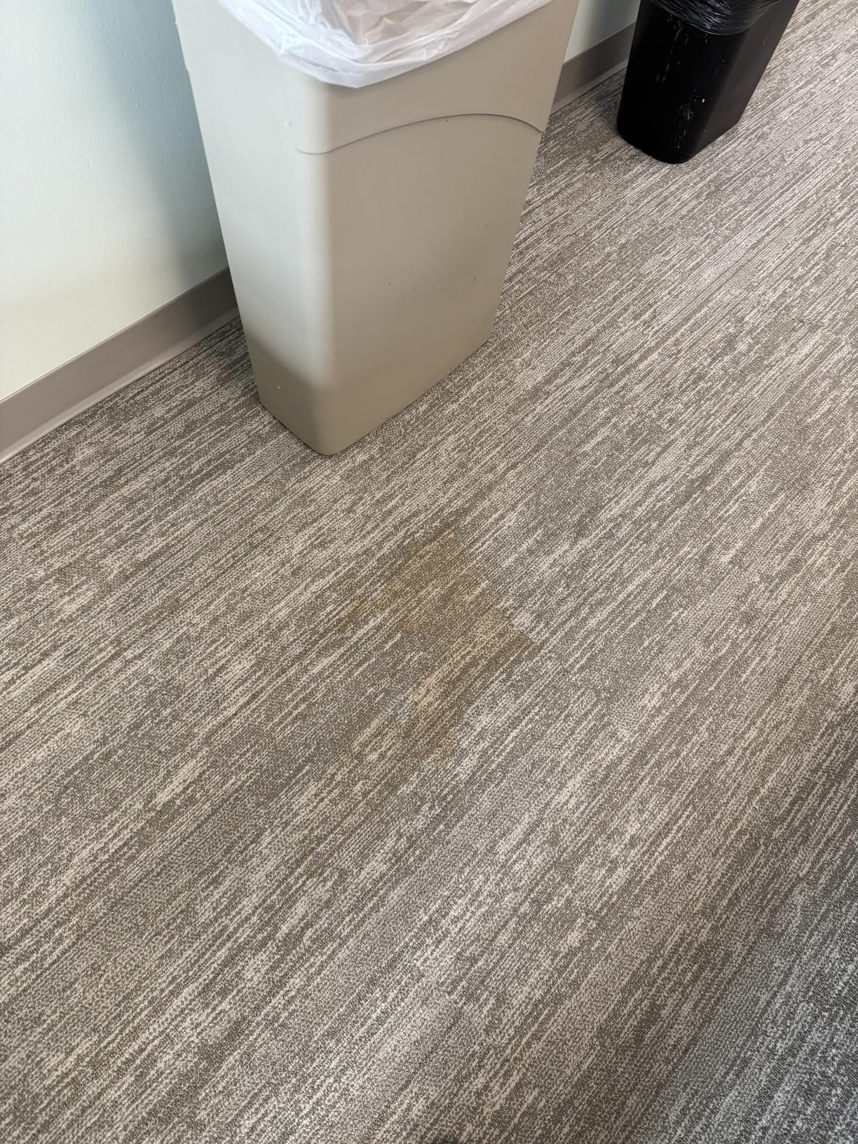 Shark StainStriker | Portable Carpet, Upholstery & Area Rug Cleaner | 4 Tools | Bonus Full-Size Solutions | Powerful Stain & Odor Remover | Deep Clean & OXY Solutions | Blue | PX202BRN customer photo 2