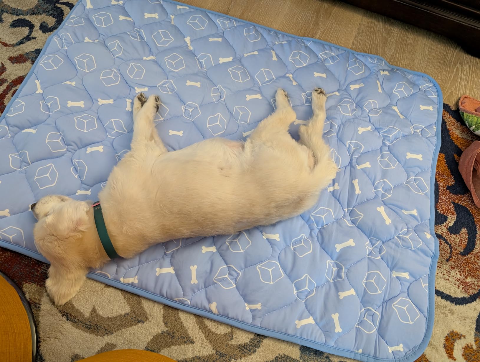 Rywell Dog Cooling Mat 2.0, Ocean Blue,44