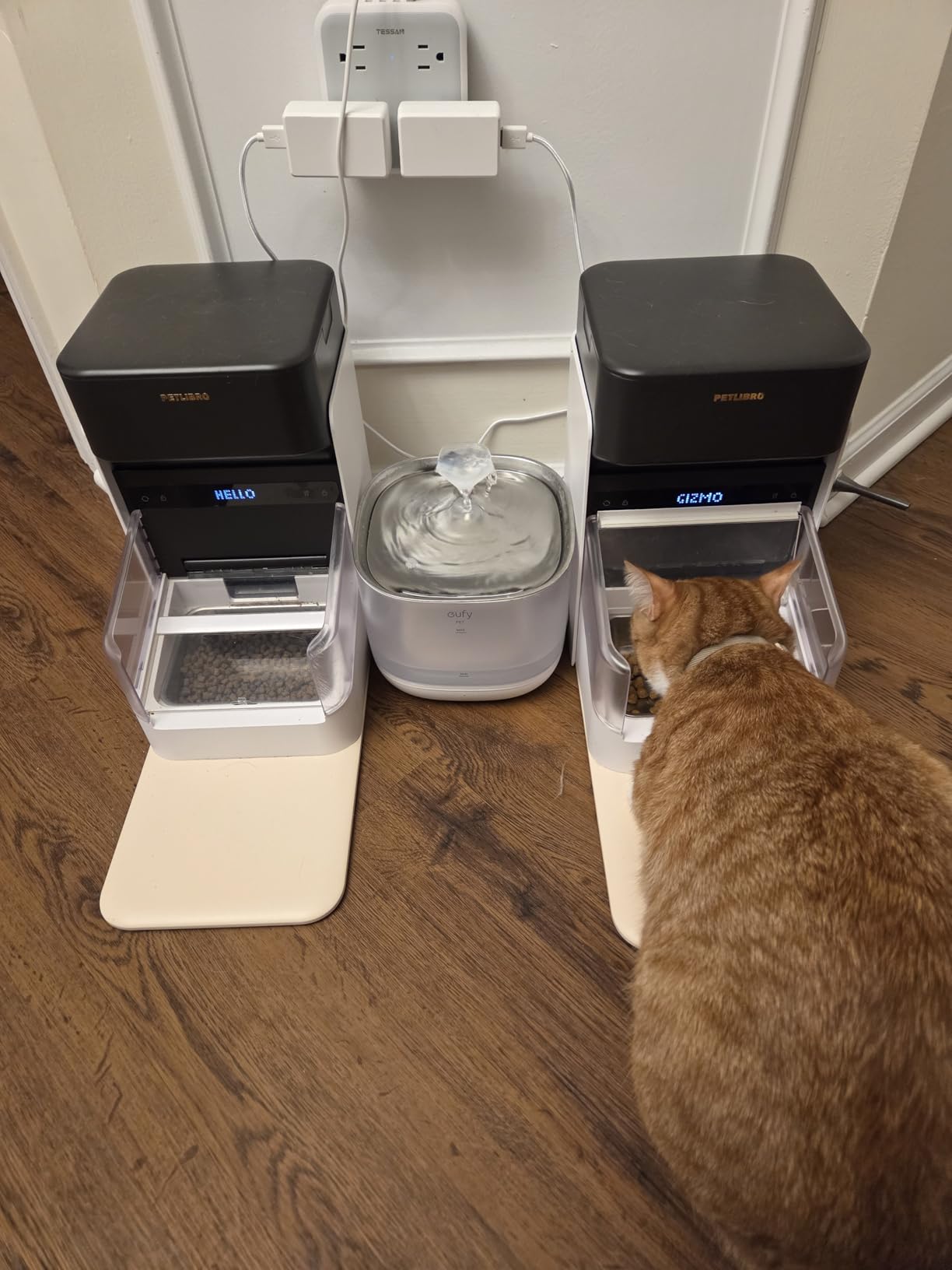 PETLIBRO RFID Automatic Cat Feeder, Collar Tag-Activated Personalized Meals, 5G&2.4G Wi-Fi Programmable Cat Food Dispenser with Cats Recognition & Diet Tracking for Multi-Pet Homes and Different Diets customer photo 2