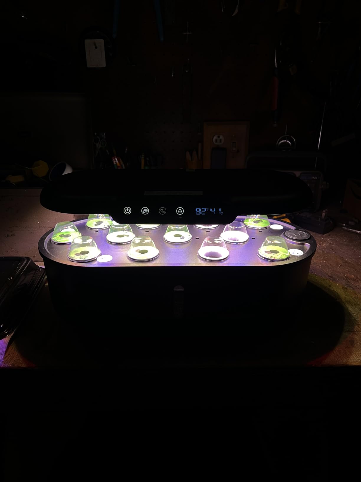 Ahopegarden Hydroponics Growing System kit: 12 Pods Indoor Herb Garden with Smart Environmental Detection - Full Spectrum LED Grow Light for Growing Vegetables Herbs and Lettuce - Home Gardening customer photo 1