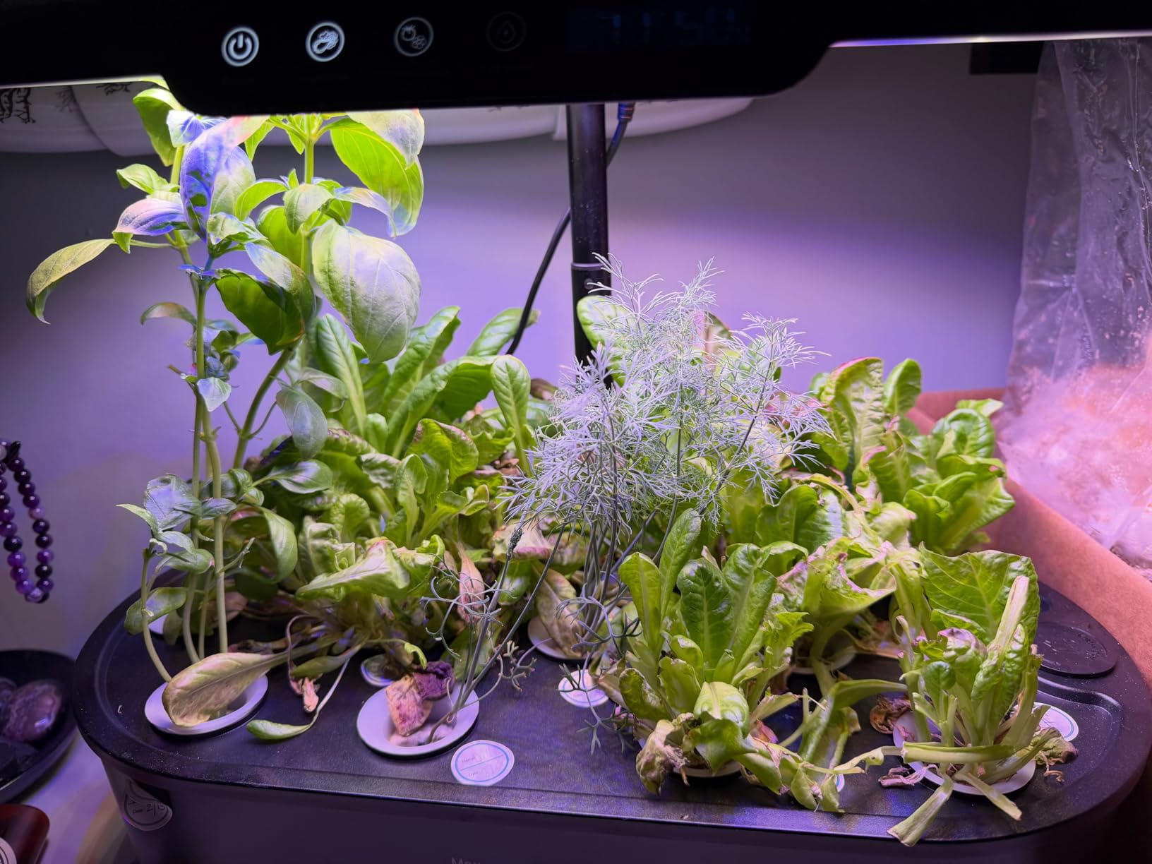 Ahopegarden Hydroponics Growing System kit: 12 Pods Indoor Herb Garden with Smart Environmental Detection - Full Spectrum LED Grow Light for Growing Vegetables Herbs and Lettuce - Home Gardening customer photo 2