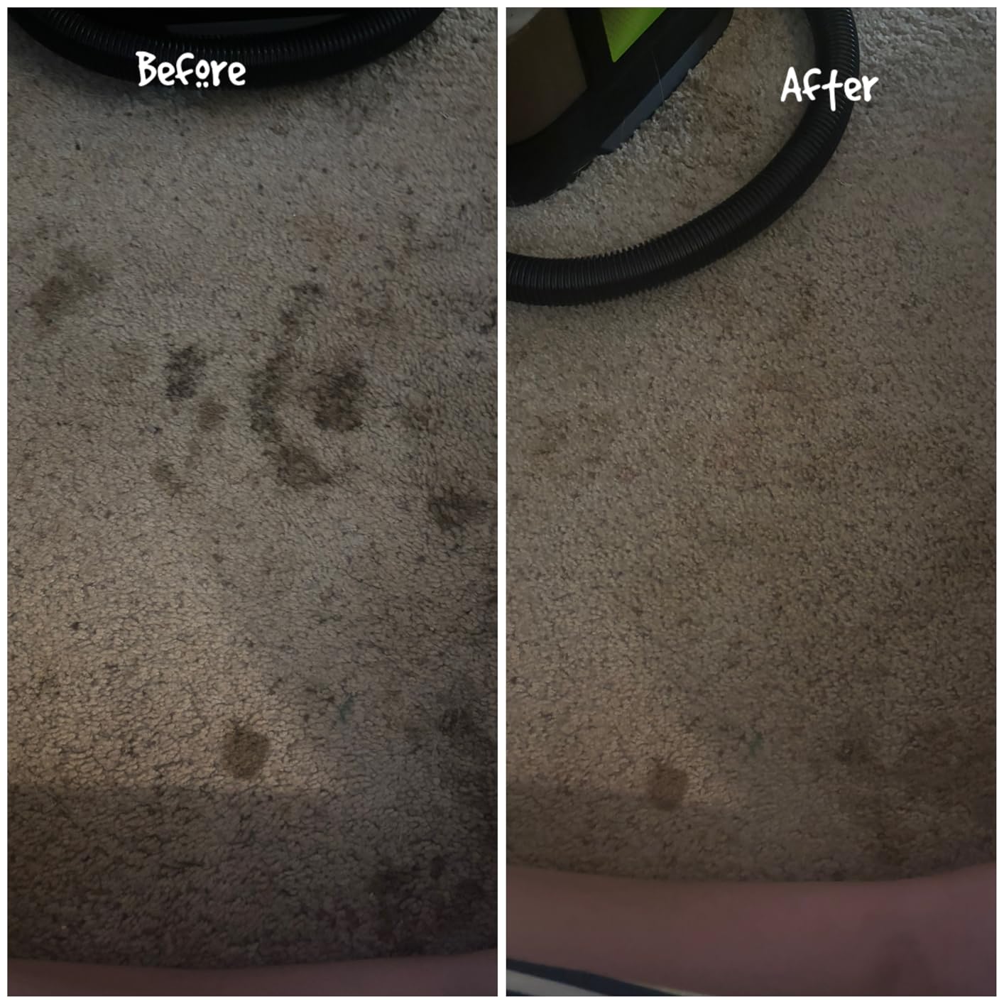 BISSELL Little Green Max Pet SmartMix Portable Carpet and Upholstery Deep Cleaner, Car/Auto Detailer, with SmartMix Technology, Self-Cleaning Tough Stain Tool and Pet Hair Removal Tool, 38572 customer photo 1