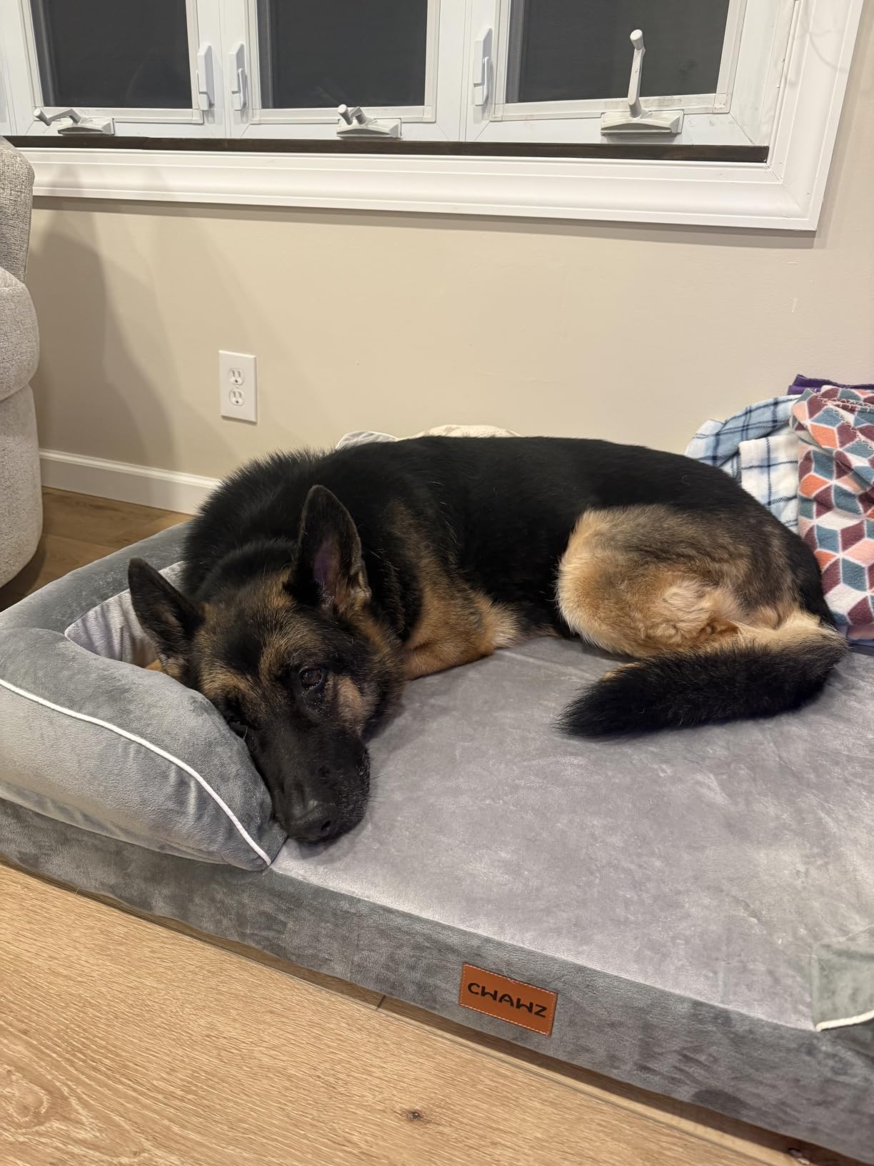 CWAWZ Extra Large Dog Bed, Orthopedic Dog Bed with Cooling Gel Memory Foam, Waterproof XL Pet Bed with Removable Washable Cover, 42