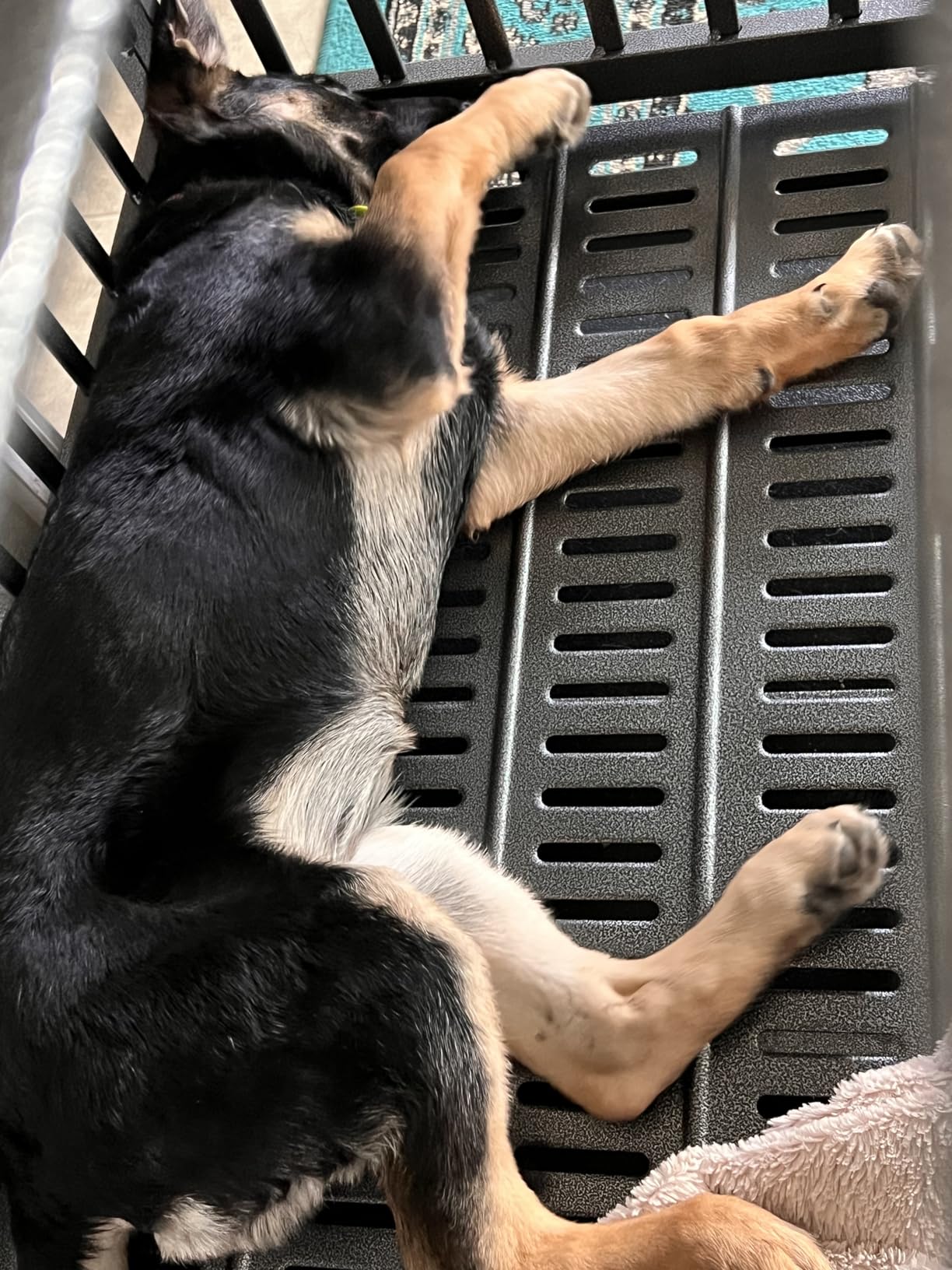 Oranland 48 inch Heavy Duty Indestructible Dog Crate,2025 New Upgraded Reinforced Baseplate for Large Dogs,XL Dog Crate for High Anxiety Dogs/Max Load Capacity 250lbs/Double Door with Wheels customer photo 2