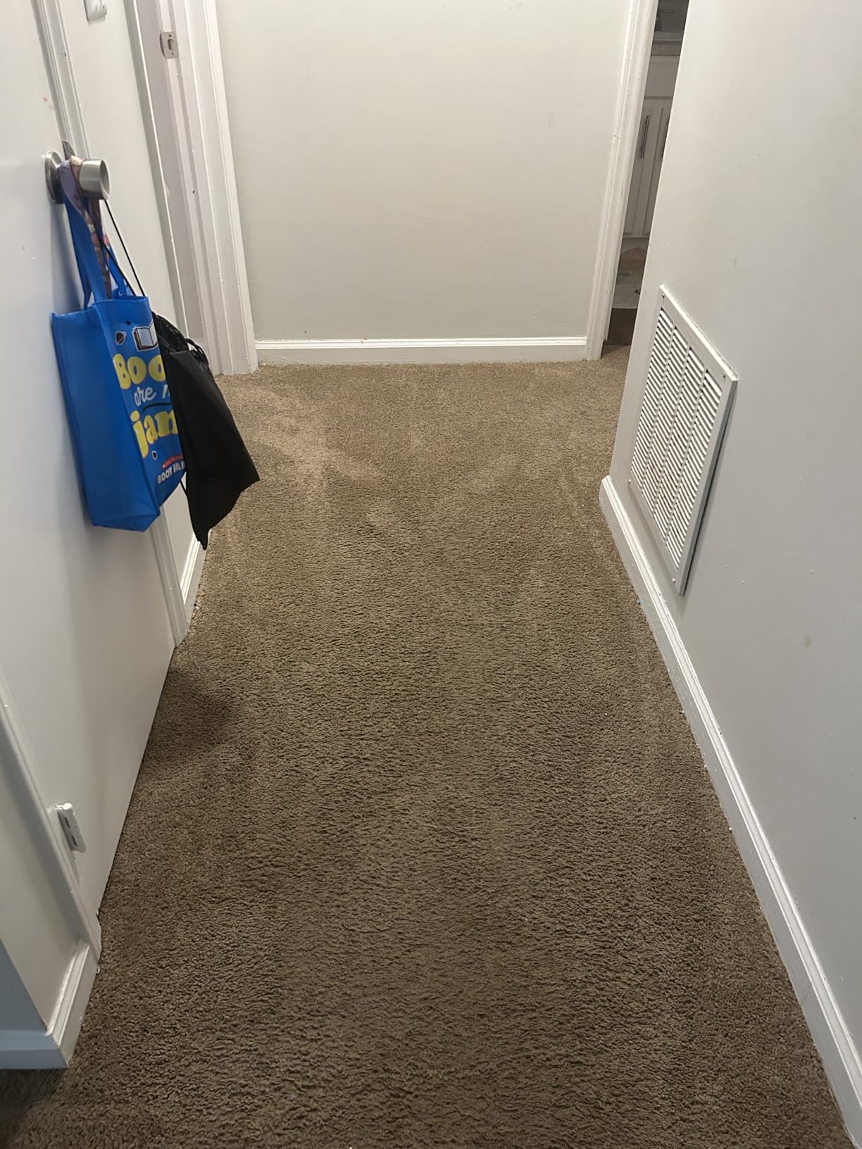 BISSELL TurboClean, Upright Carpet Cleaner, Pro Max Clean & Protect + Oxy Urine Eliminator Formula Included, 3952 customer photo 2