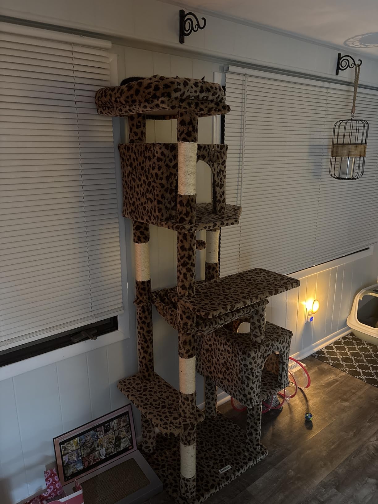 Globlazer Heavy Duty Cat Tree, 70 inch Sturdy Cat Tree for Indoor Cats Extra Large Cat Tower with Scratching Post, Hammock, Cat Condo for Adult Cats Kittens, F70 Pro, Light Grey customer photo 1