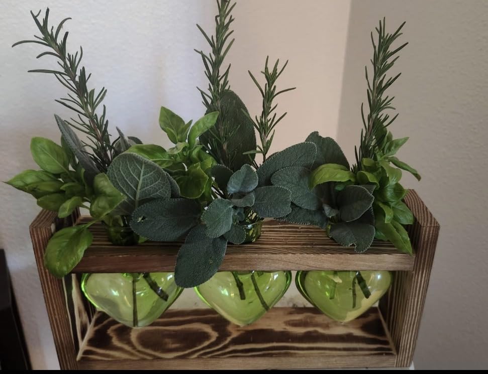 Nacome Plant Terrarium Propagation Stations: 3 Bulb Glass Vases with Wooden Stand Tabletop for Hydroponics Home Garden Decor customer photo 1