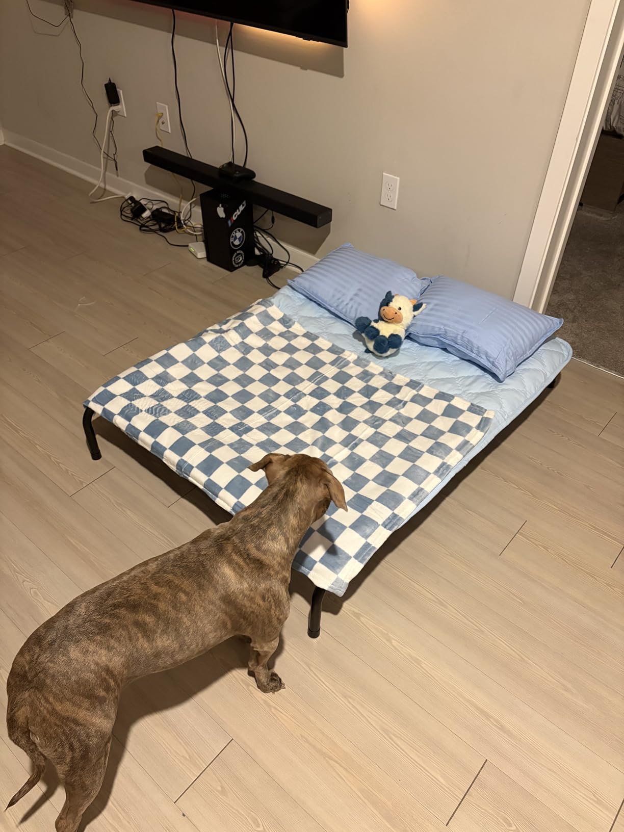Love's cabin Elevated Cooling Dog Bed for Large Dogs, Portable Indoor & Outdoor Raised Pet Dog Cat Cot, Durable Summer Frame with Breathable Mesh, Grey, 48 inches customer photo 2