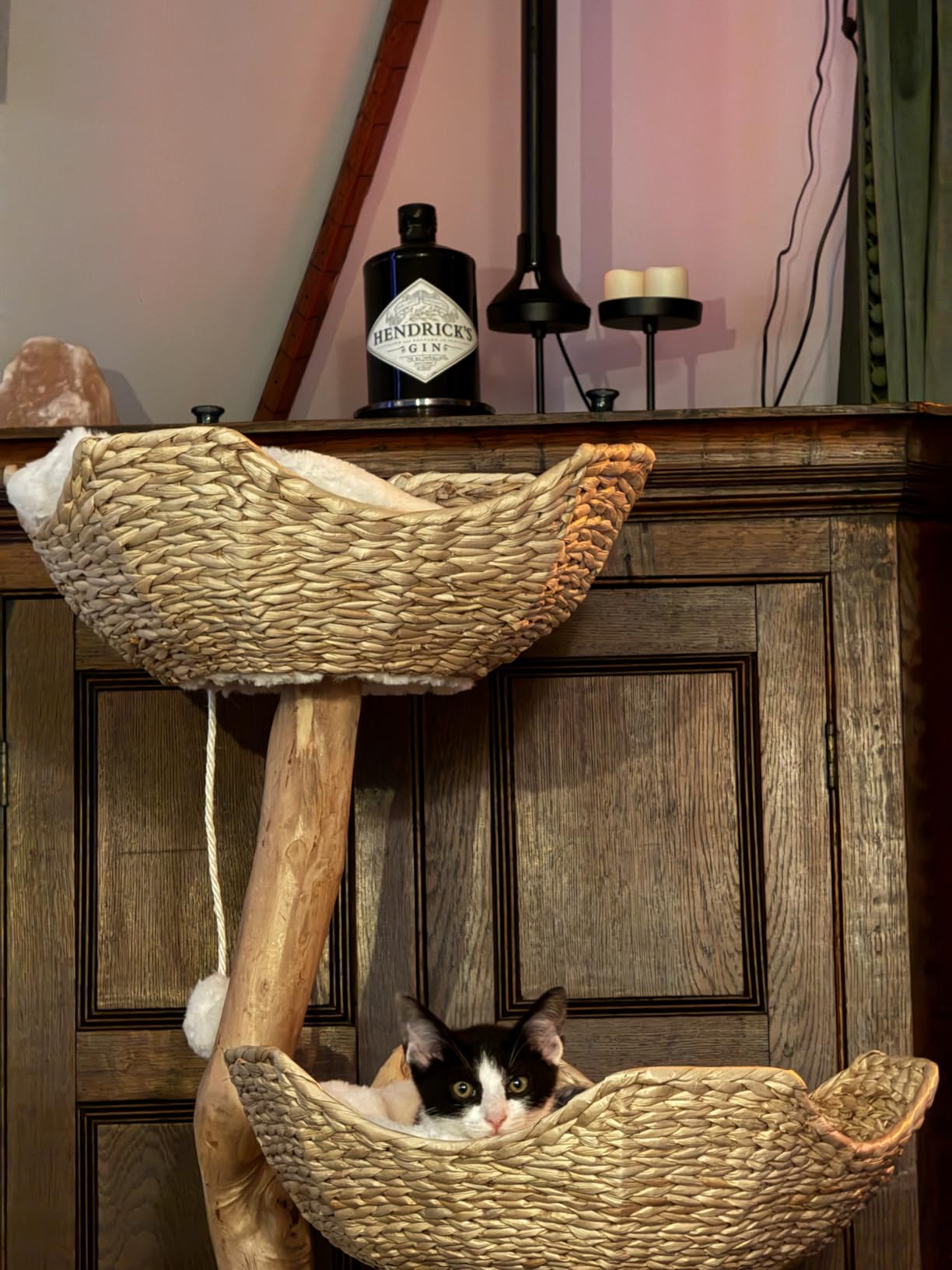 LEO & LEXI Aesthetic, Real Wood Modern Cat Tree. 46 inches Tall, Sturdy, Solid Natural Wood Tower for Large Cats. Scratching Post with Wicker Basket Bed, Luxury, Boho Furniture for Indoor Cats customer photo 2
