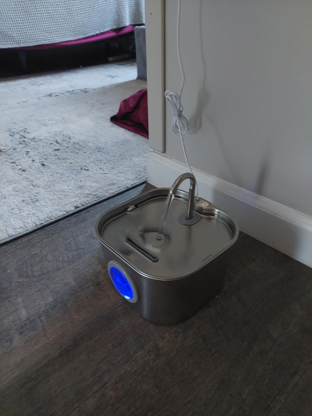 Cat Water Fountain Stainless Steel: Pet Fountains for Cats/Dog Indoor Automatic Waterer Bowls for Drinking Small Animal Water Dispenser Metal Pets Watering Faucet Bottle Auto Kitty Watering Supplies customer photo 1