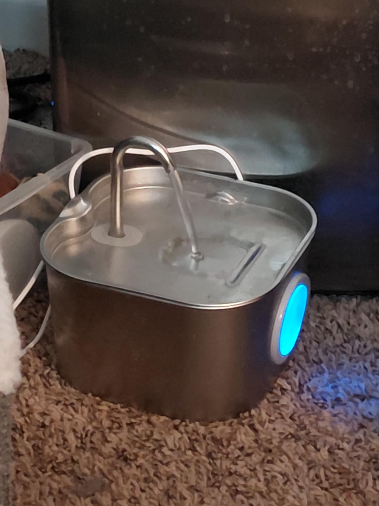 Cat Water Fountain Stainless Steel: Pet Fountains for Cats/Dog Indoor Automatic Waterer Bowls for Drinking Small Animal Water Dispenser Metal Pets Watering Faucet Bottle Auto Kitty Watering Supplies customer photo 2