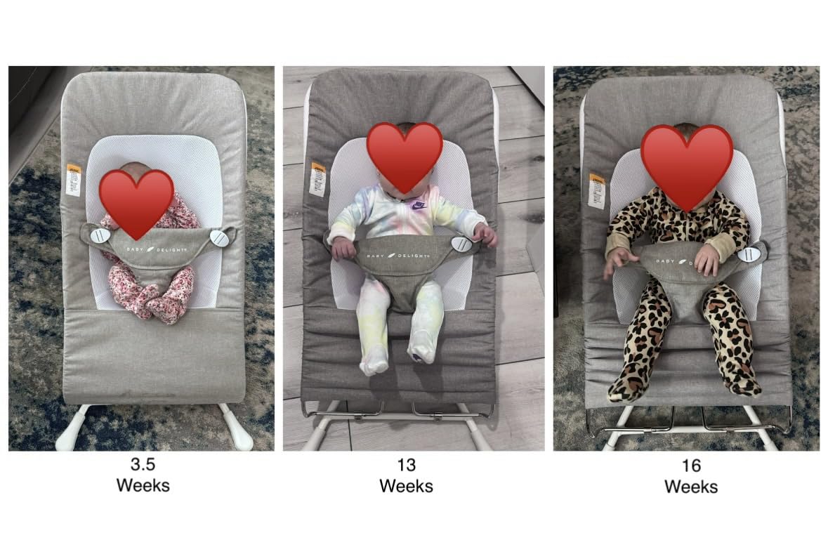 Baby Delight Highland Baby Bouncer | Infant | 0 - 6 Months | 3-Position Recline | Sage Tweed customer photo 1