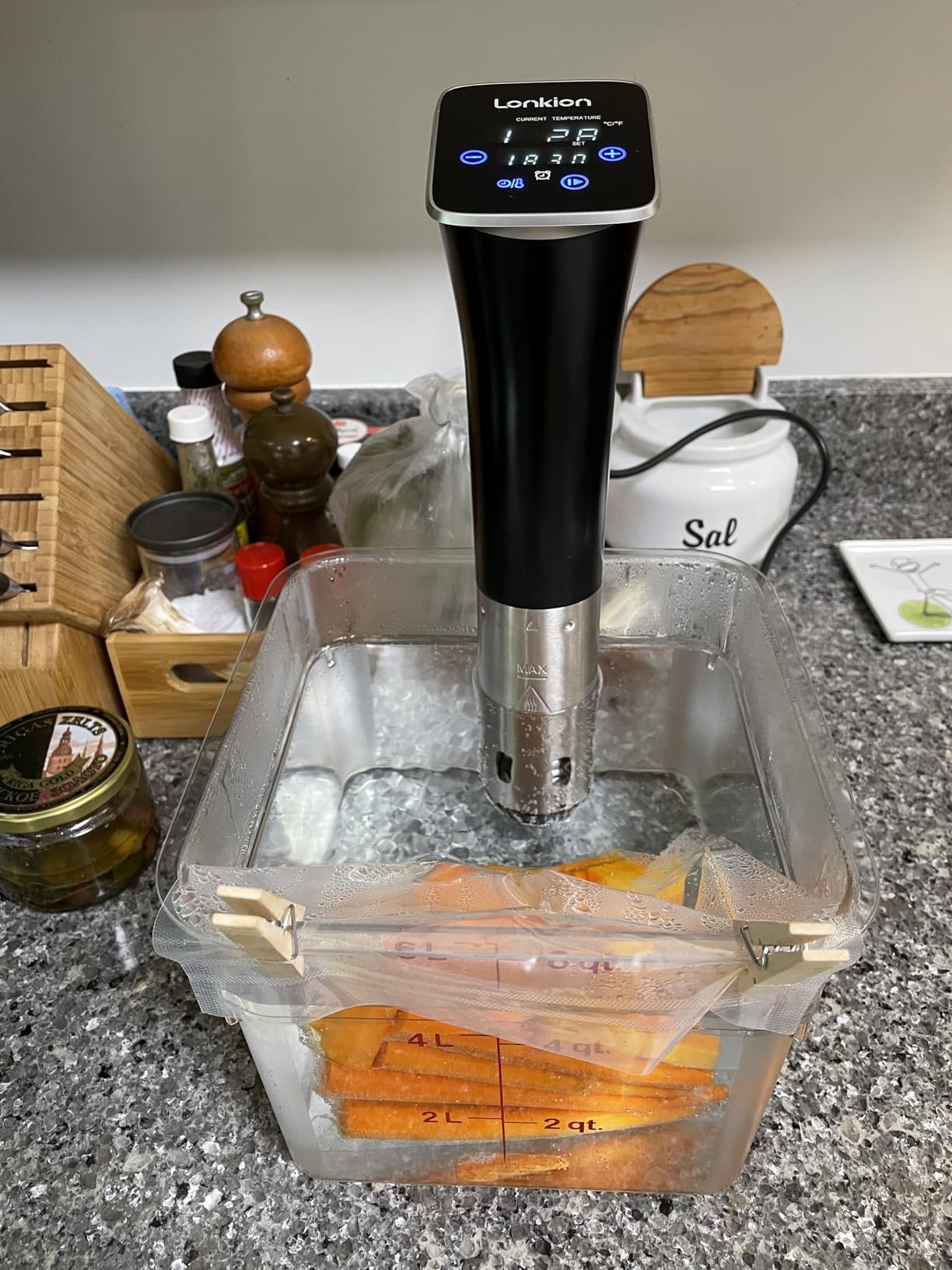 Lonkion Sous Vide Cooker Machine, Temperature Control, 1100W IPX7 Immersion Circulator, Fast Heating, Home Kitchen Use, Easy to Store customer photo 2