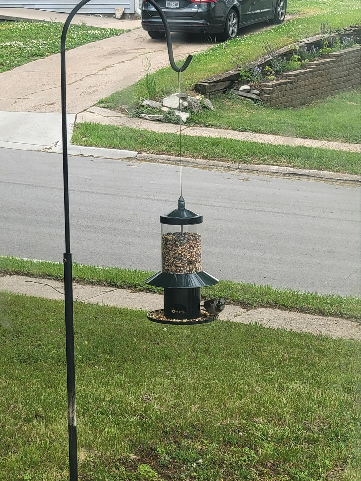 Squirrel Proof Bird Feeder - 360° Feeding Perch Tray for Outdoor Hanging Wild Bird Seeds, Dark Green. customer photo 1