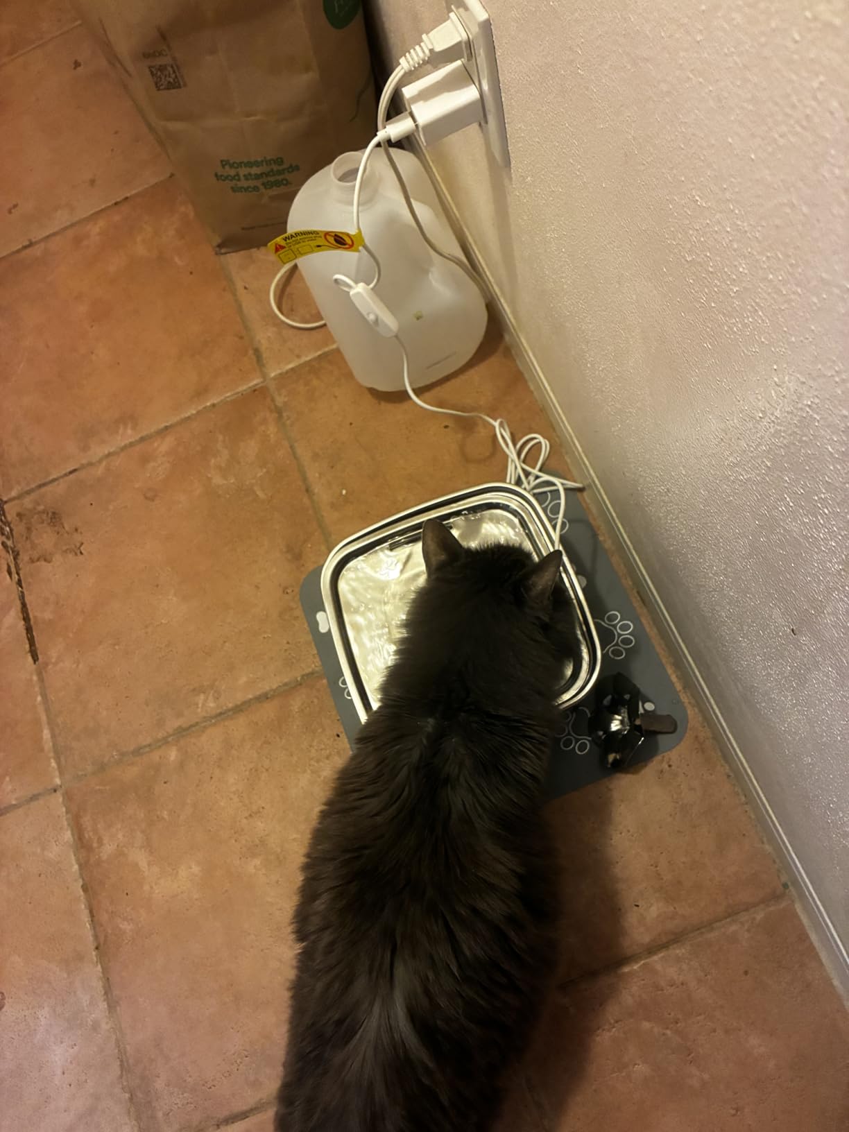 Veken Innovation Award Winner Stainless Steel Cat Water Fountain, 108oz/3.2L Automatic Pet Fountain Dog Water Dispenser with 3 Replacement Filters & Silicone Mat, Gifts for Cats, Dogs (Silver) customer photo 2
