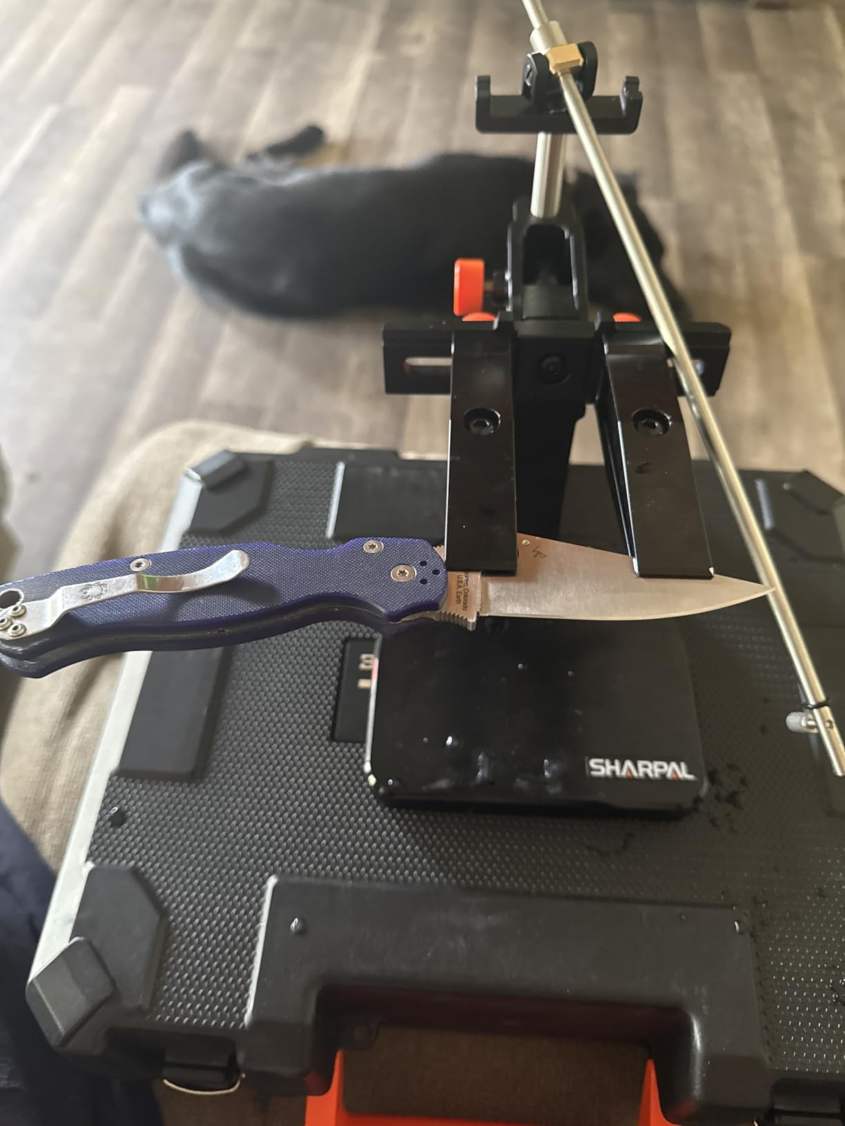 SHARPAL 202H Precision Knife Sharpening System-Adjustable Angle 10-35° Knife Sharpener Kit with 7 Abrasives (Diamond 220/325/600/1000, Whetstone 3000/6000, Leather Strop), Premium Fathers Day Gift customer photo 1