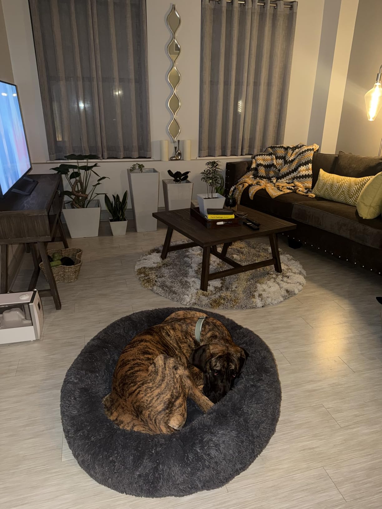 Bedsure SupportMax Calming Dog Bed Medium Size Dog - 30in Donut Round Washable Medium Pet Bed, Anti-Slip & Removable Cover, 420GSM Anti-Anxiety Fluffy Plush Faux Fur, Fits up to 45 lbs Pets customer photo 1