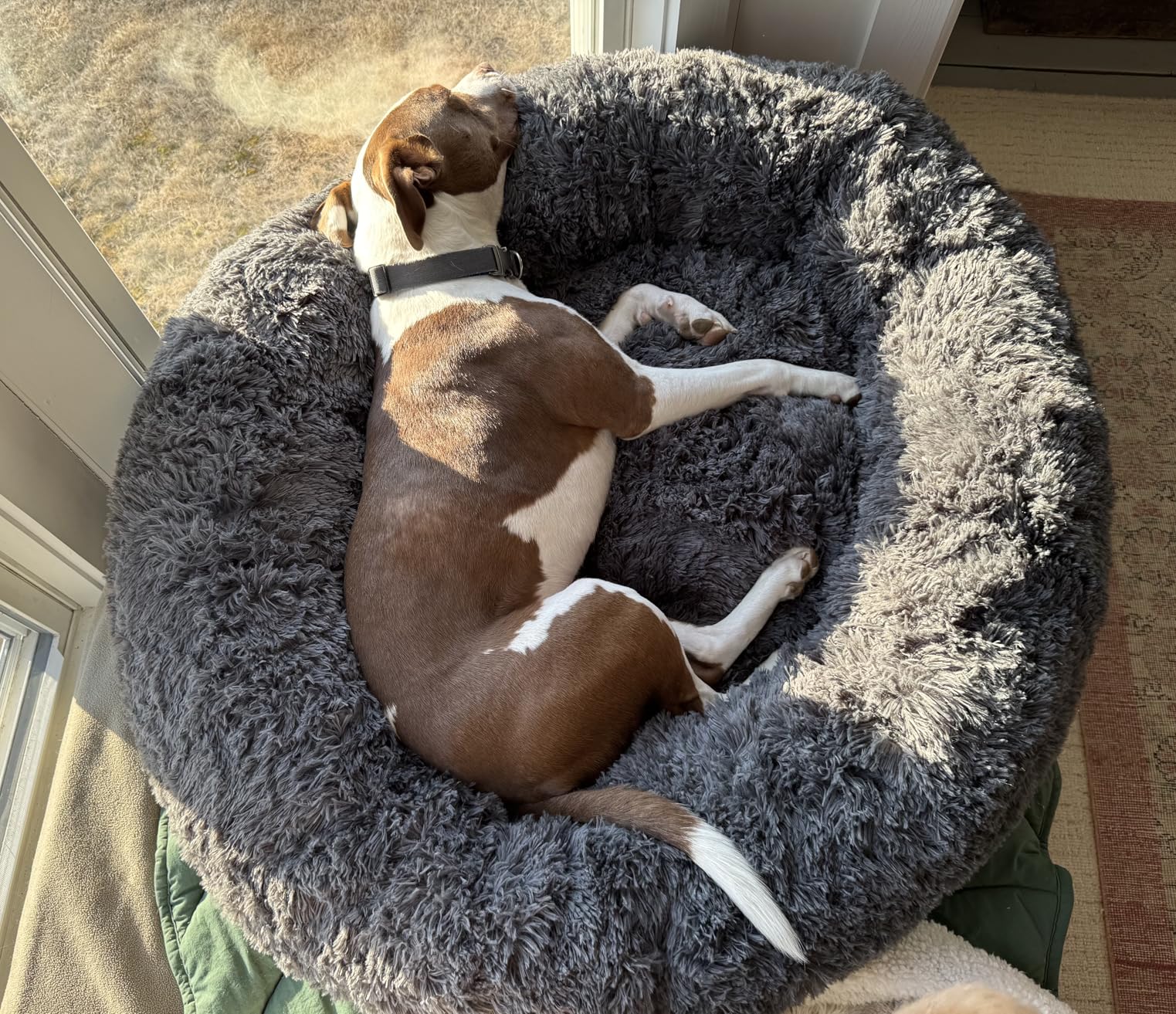 Bedsure SupportMax Calming Dog Bed Medium Size Dog - 30in Donut Round Washable Medium Pet Bed, Anti-Slip & Removable Cover, 420GSM Anti-Anxiety Fluffy Plush Faux Fur, Fits up to 45 lbs Pets customer photo 2