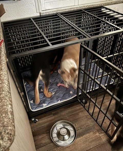 Snuowu 48 Inch Heavy Duty Dog Crate with Wheels, Metal Big Dog Cage for Large and Medium Dogs, Extra Large XL XXL Indestructible Dog Crate with Removable Tray. customer photo 2