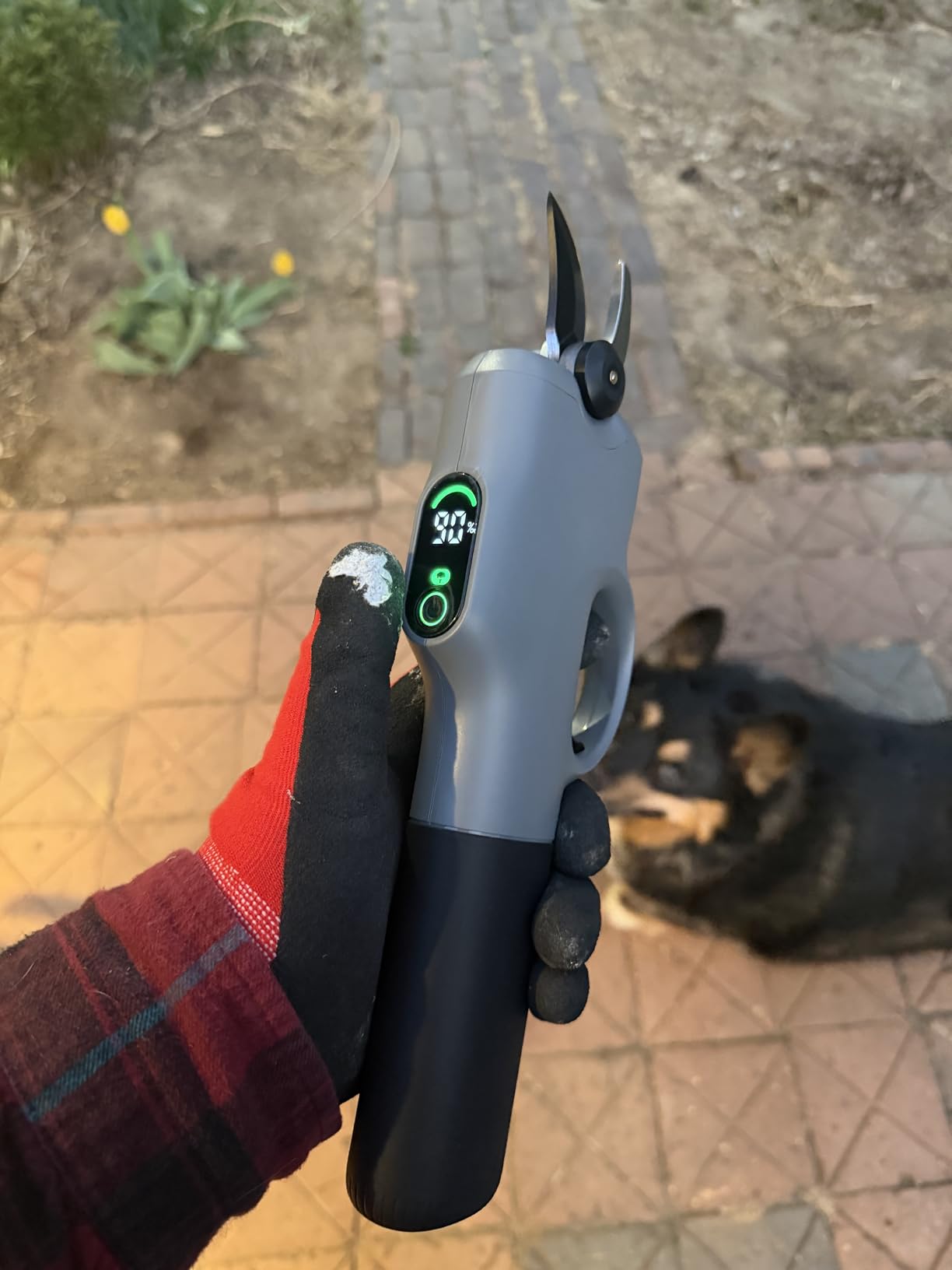 Fanttik Y10 Pro Cordless Electric Pruning Shears with Brushless Motor, LED Display, 4-Level Safety System, USB-C Fast Charging, SK5 Steel Blade for Branch Trimming customer photo 1