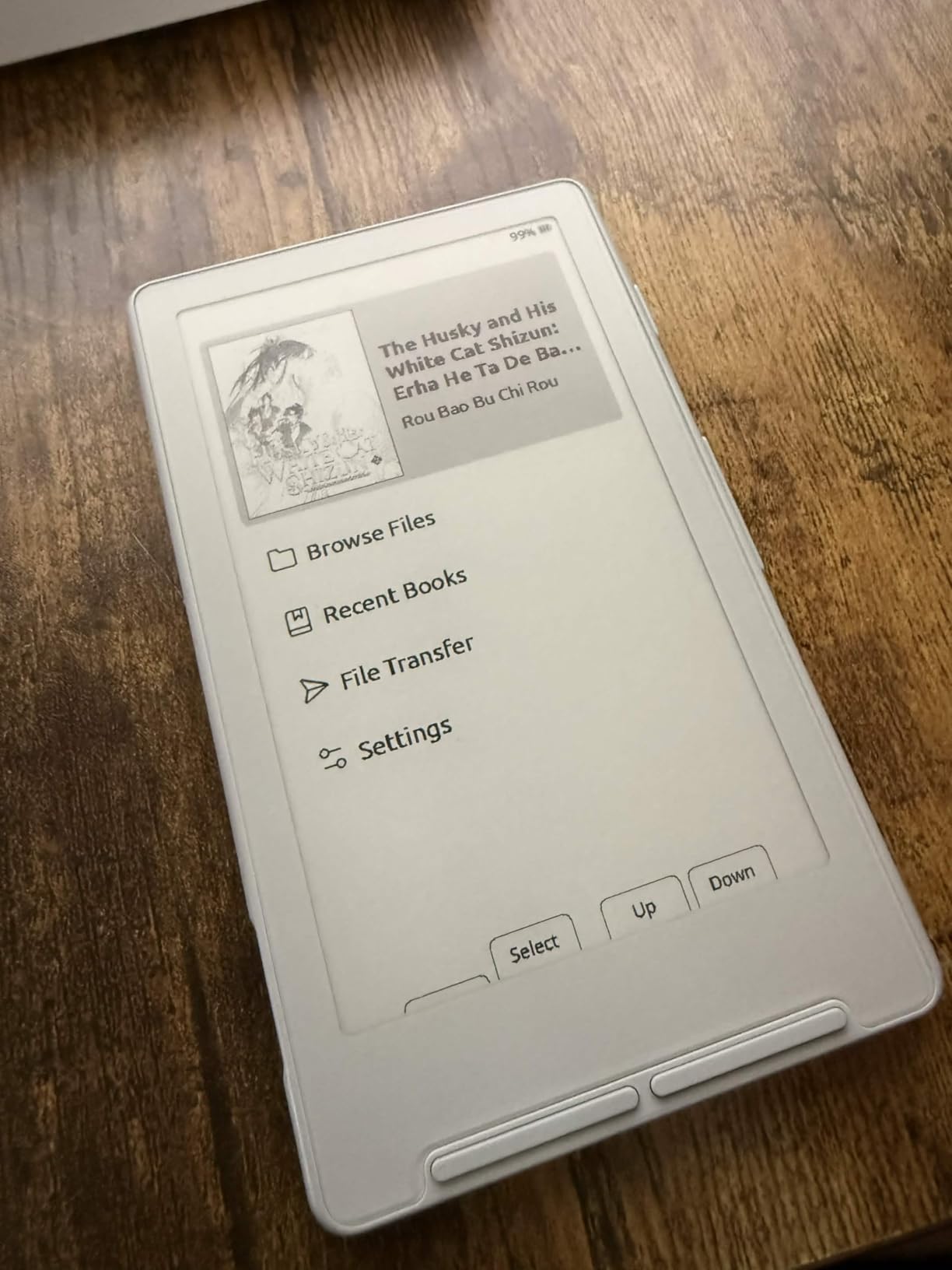 XTEINK X4 E-Book Reader (Developer Edition), 4.3