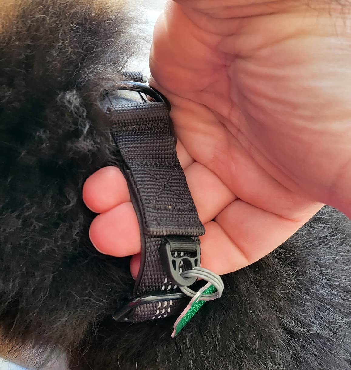 Wireless GPS Dog Collar Fence-Invisible Electric Containment System.No Monthly Fee,Adjustable Beep.Vibration & Static.48H Waterproof Rechargeable Collar for Backyard Escape Prevention & Camping customer photo 2