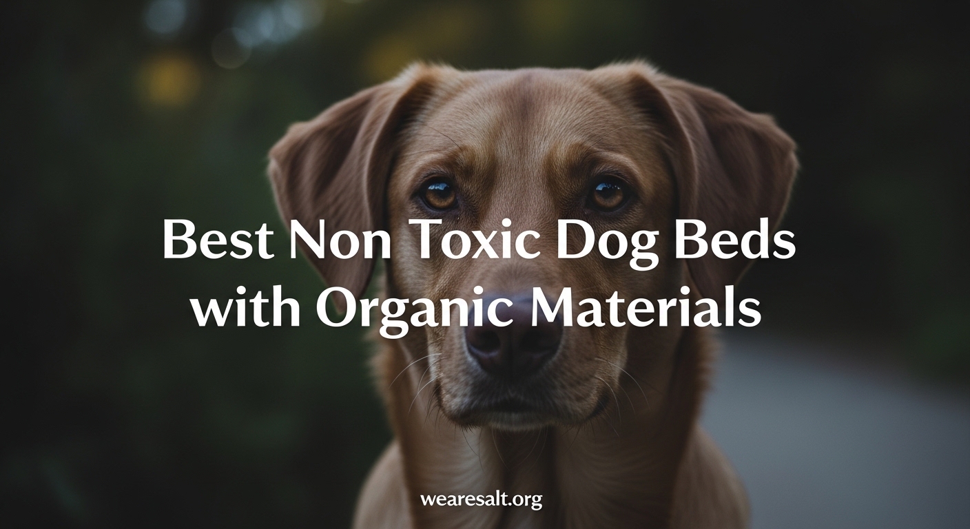 Best Non Toxic Dog Beds with Organic Materials