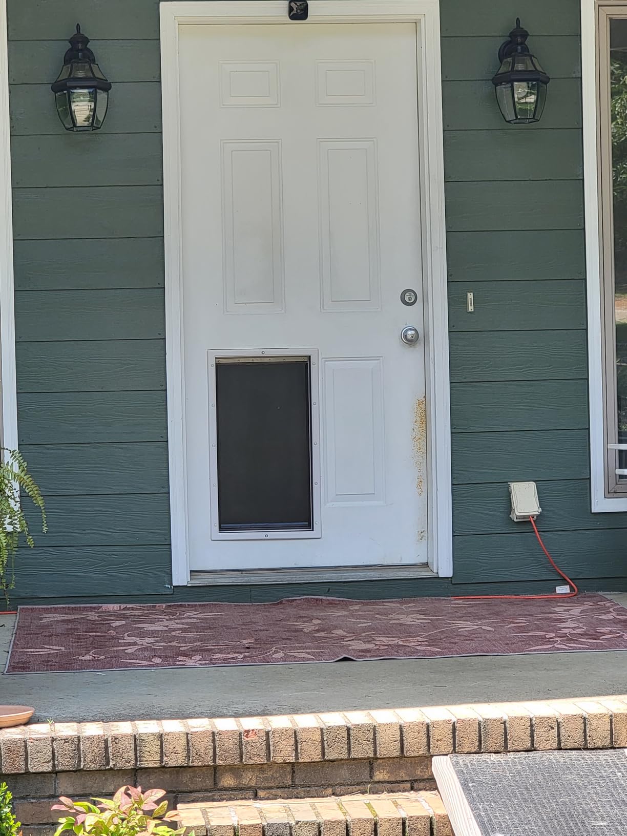 PetSafe Never Rust Dog & Cat Plastic Door, X-Large, for Pets Up to 220 lb, Paintable, Easy DIY Installation, Closing Panel Included customer photo 1