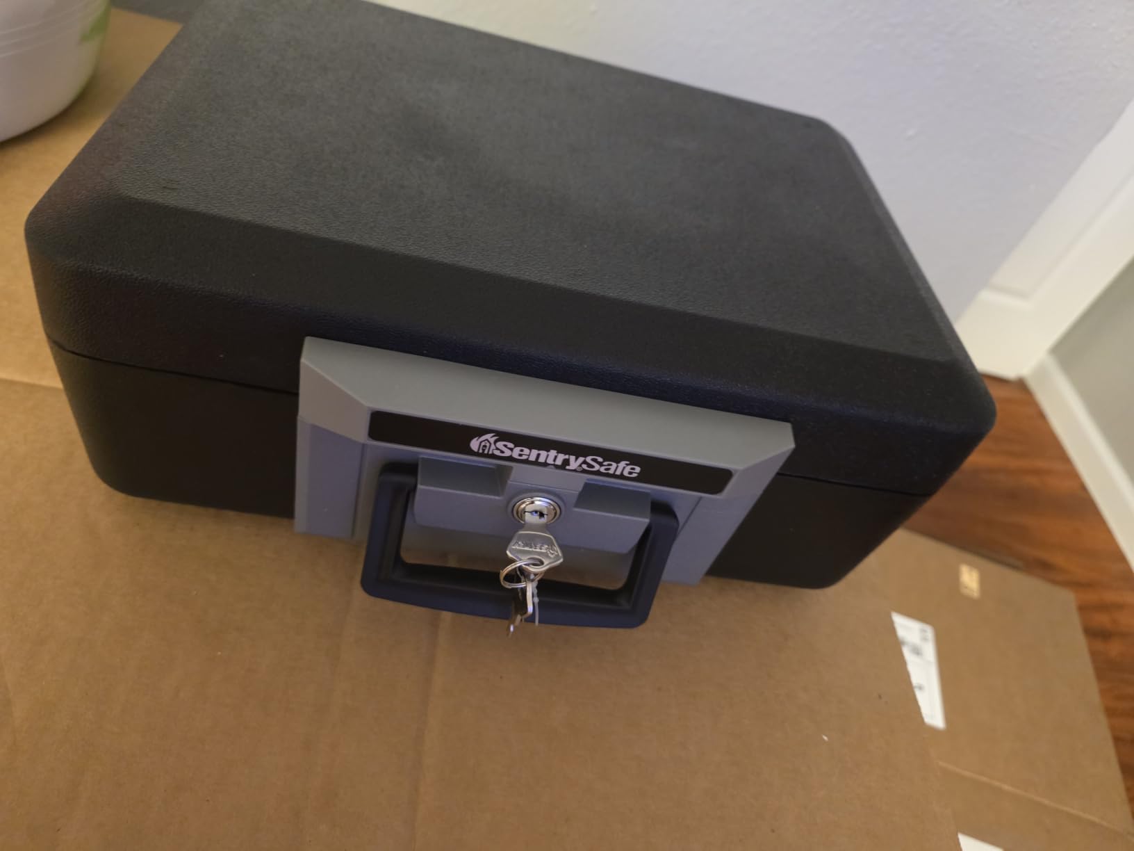 SentrySafe Fireproof Safe Box with Key Lock, Chest Safe with Carrying Handle, 0.25 Cubic Feet, 1160 customer photo 1