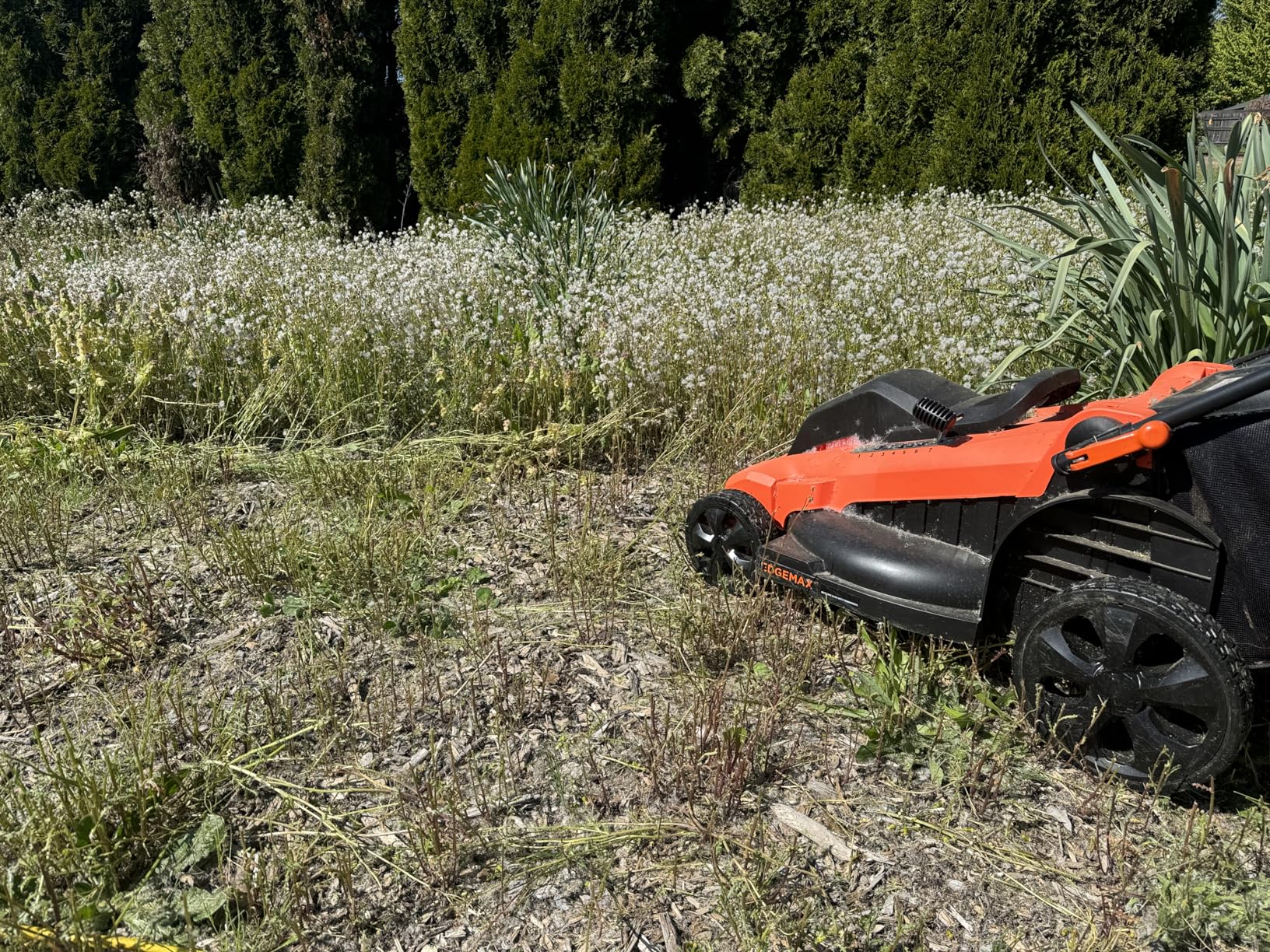 BLACK+DECKER 20-Inch Corded Electric Lawn Mower, Ultra Light Push Mower, 13-Amp High Output Motor, 3 in 1 Cutting Versatility, Tool Free Height Adjustment, 7-setting Cutting Height (MM2000) customer photo 2