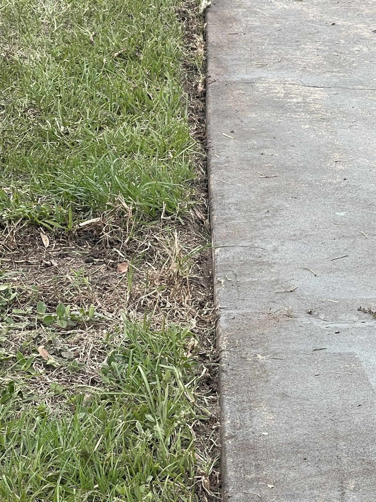WORX 12 Amp 7.5'' Electric Lawn Edger & Trencher | Corded, WG896 customer photo 2