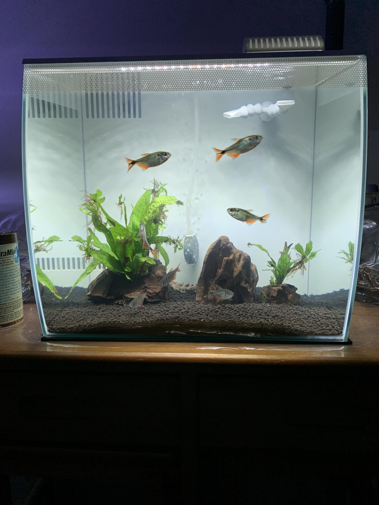 Hagen Flex Freshwater Kit - Black - 15 gal customer photo 2