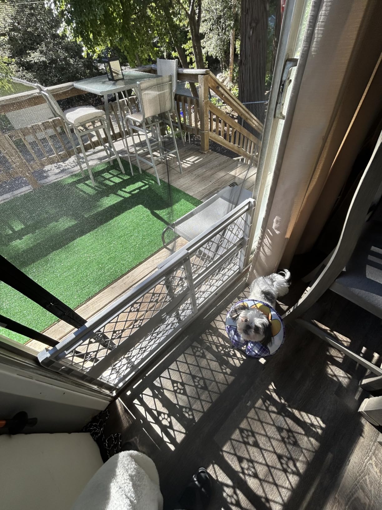 MYPET North States Paws Portable Pet Gate: 26-40