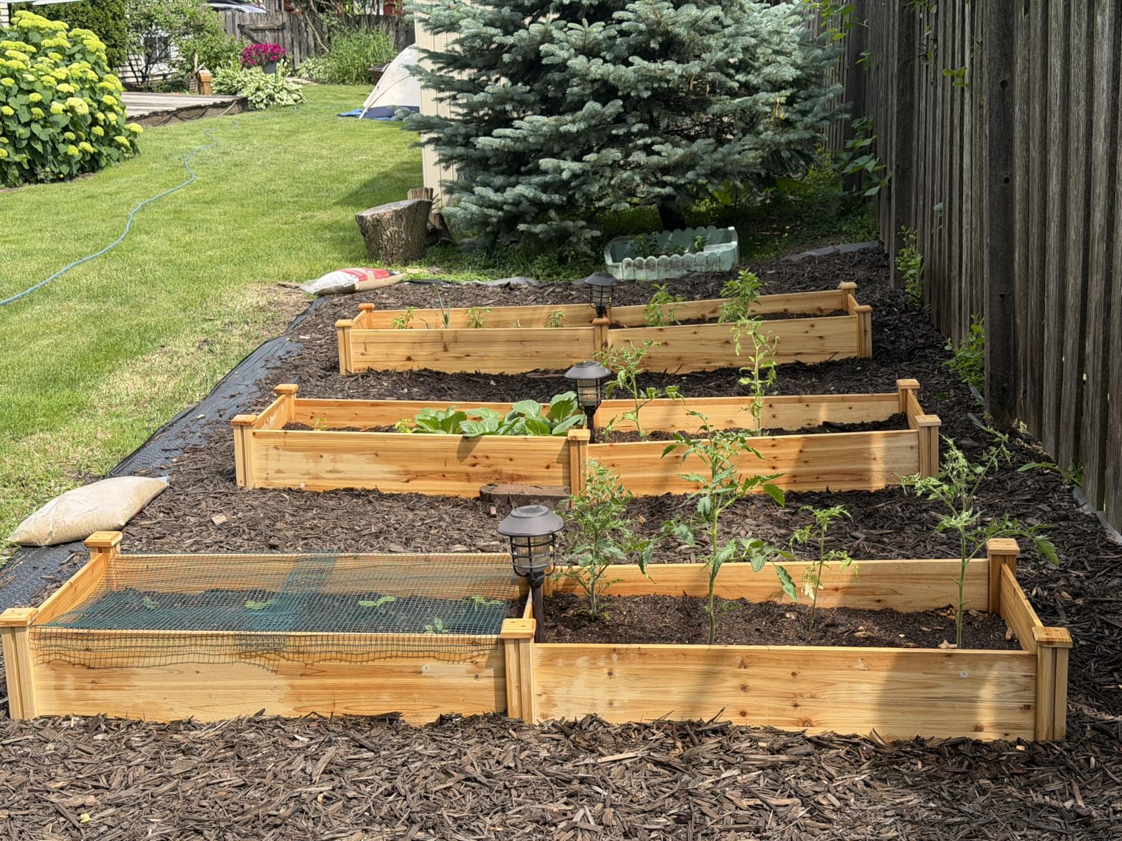 Yaheetech 8x4ft Wooden Horticulture Raised Garden Bed Divisible Elevated Planting Planter Box for Flowers/Vegetables/Herbs, Natural Wood customer photo 2