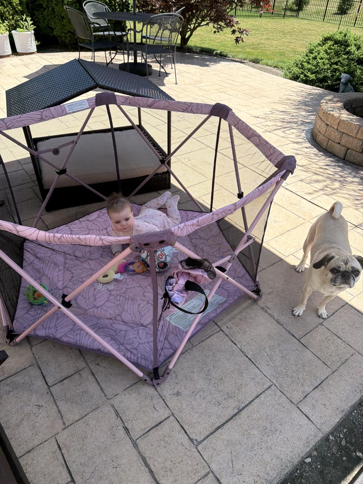 Baby Delight Go With Me Eclipse Mesh Portable Playard | Playpen | Sun Canopy | Indoor and Outdoor | Watercolor Stripe Base customer photo 1